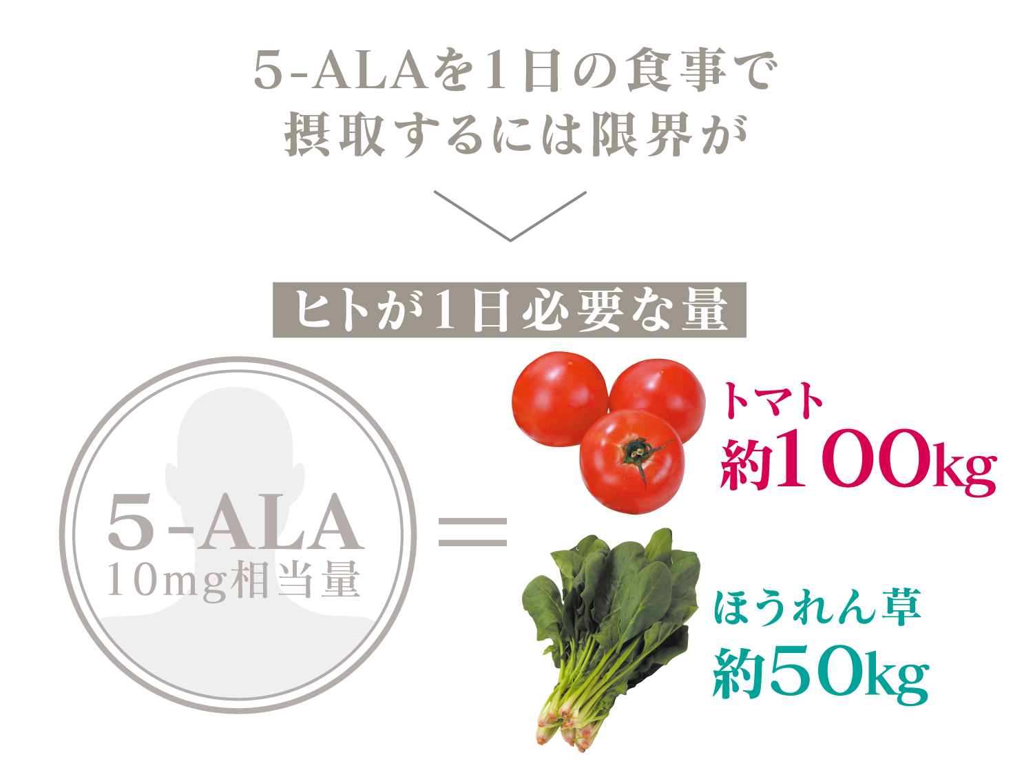 ただ１日の食事で摂取できる５-ALA量には限界が　ヒトが1日必要な量トマト約１００kg　ほうれん草約５０kg